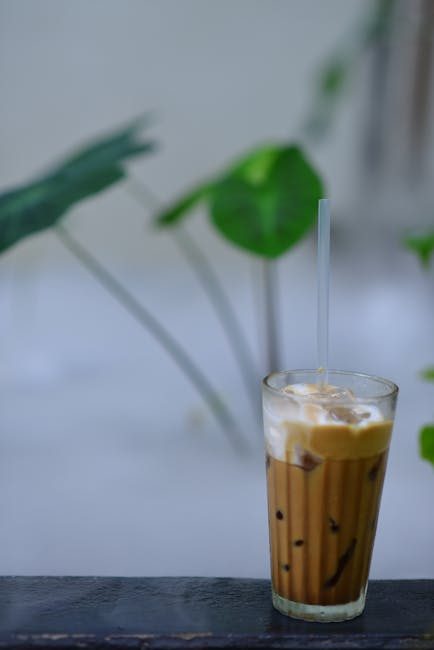 CARAMEL İCE LATTE